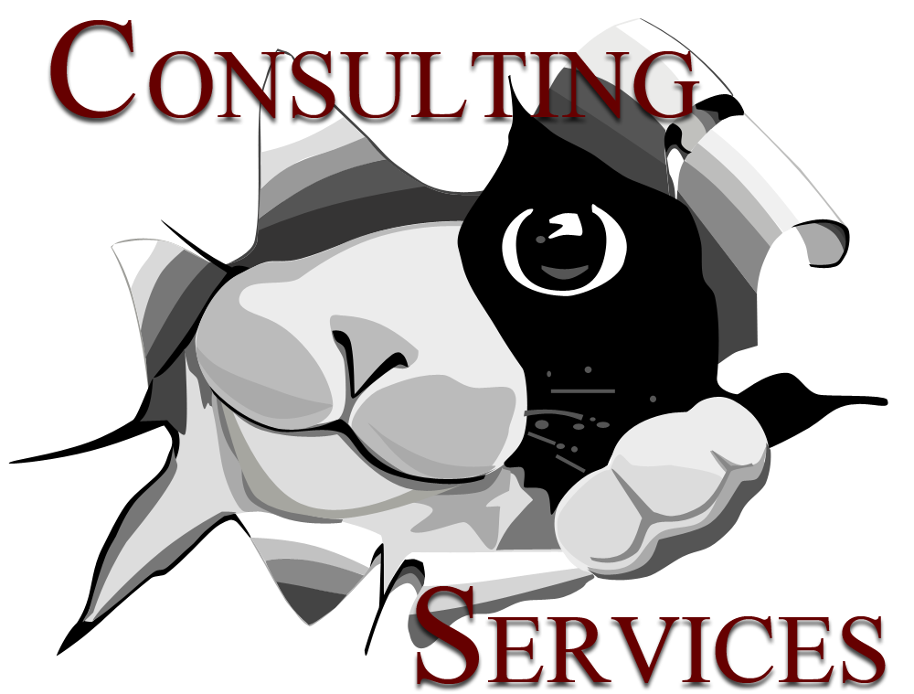 Consulting Services Cat